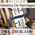 Karmagra Jelly 12